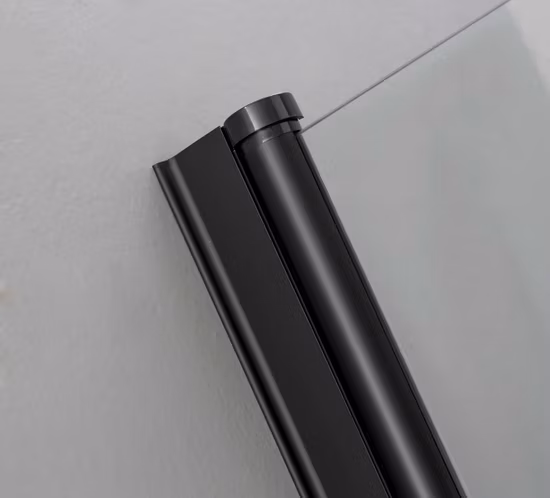 Black Pivot Simple Bathroom Shower Door (TL-841)