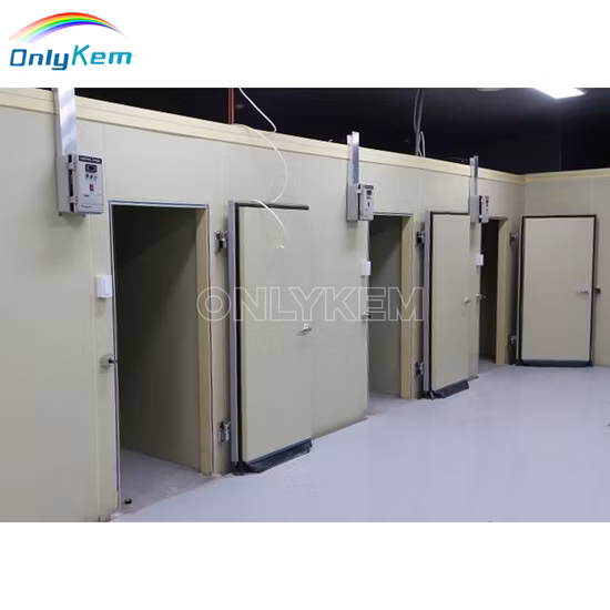 Cupc Hot Walk in Bathtub Disabled Bath Shower Hot Tub with Door  (Q372)