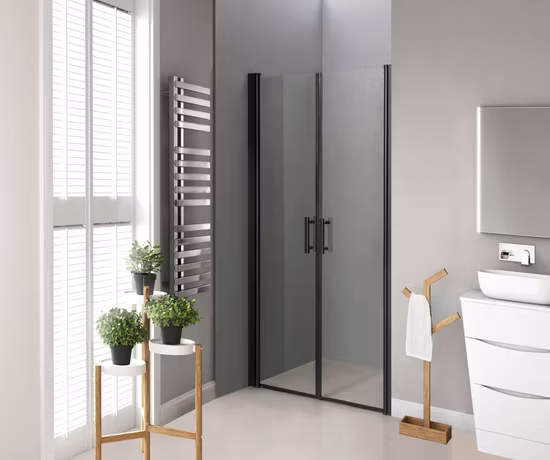 Black Pivot Simple Bathroom Shower Door (TL-841)