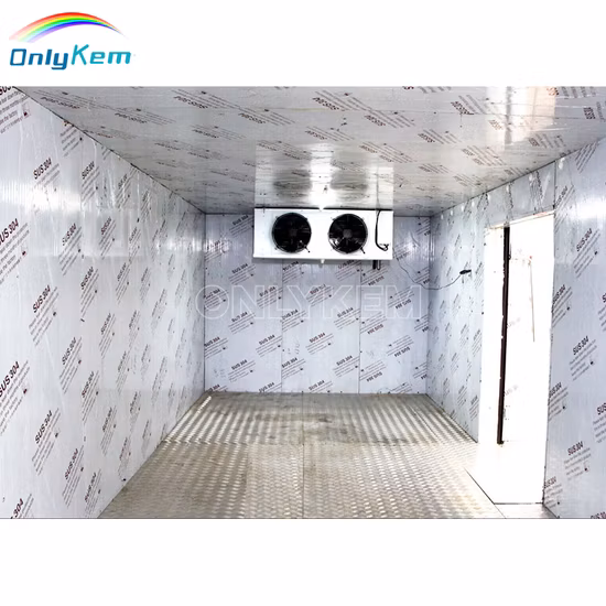 Cupc Hot Walk in Bathtub Disabled Bath Shower Hot Tub with Door  (Q372)